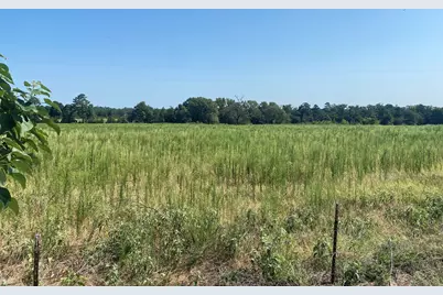 000 Cr 1323, Pittsburg, TX 75686 - Photo 3
