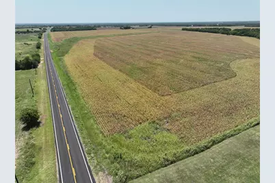 157 Acres Fm 904, Ladonia, TX 75449 - Photo 11