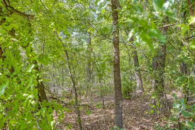 1129 Crazy Horse Trail, Burleson, TX 76028 - Photo 39