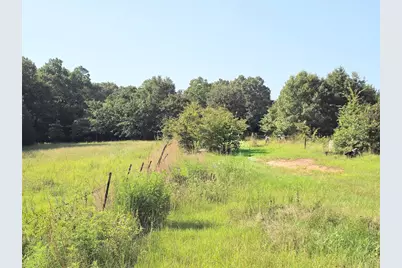 570 An County Road 2419, Montalba, TX 75853 - Photo 27