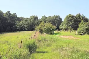 570 An County Road 2419, Montalba, TX 75853 - Photo 27