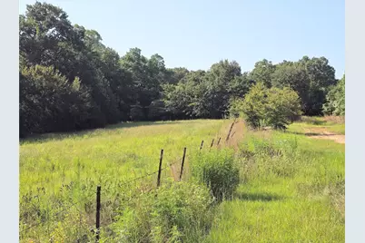 570 An County Road 2419, Montalba, TX 75853 - Photo 23