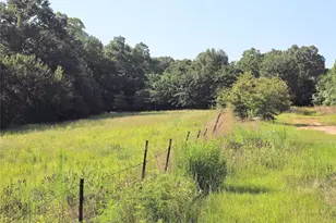 570 An County Road 2419, Montalba, TX 75853 - Photo 23