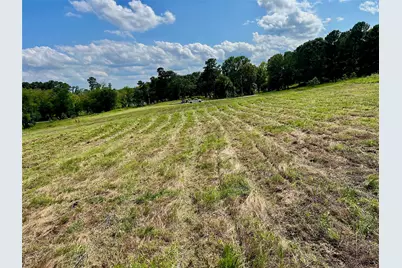 Lot 5 Pr 3398 Road, Big Sandy, TX 75755 - Photo 5