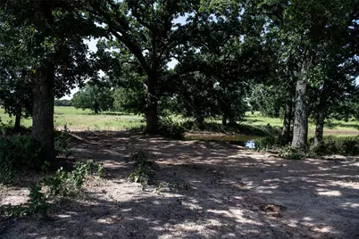 148 Private Road 169, Sunset, TX 76270 - Photo 7