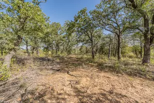 417 Wood River Rd, Millsap, TX 76066 - Photo 15