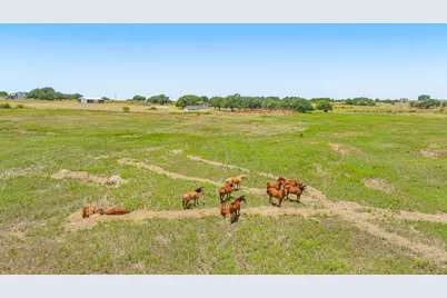 100 County Road 519, Stephenville, TX 76401 - Photo 17