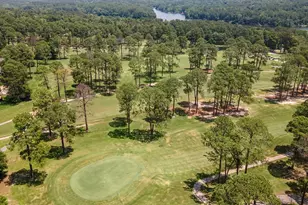 2045 W Holly Trail, Holly Lake Ranch, TX 75765 - Photo 29