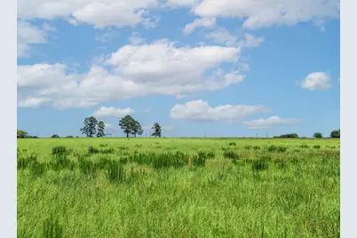 000 County Road 1604, Grand Saline, TX 75140 - Photo 23
