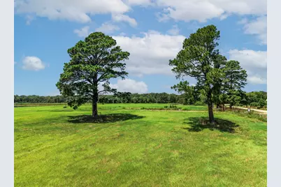 000 County Road 1604, Grand Saline, TX 75140 - Photo 27