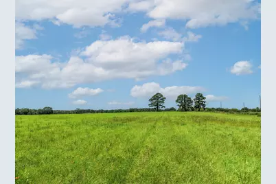 000 County Road 1604, Grand Saline, TX 75140 - Photo 13