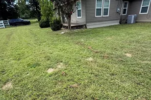 648 S Ctr St, Buffalo, TX 75831 - Photo 13