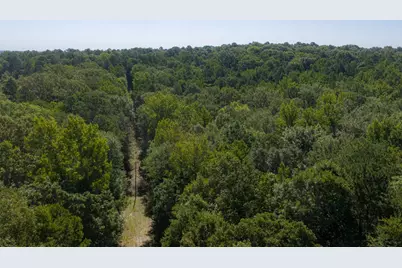 00 Tom Eubanks Rd, Gladewater, TX 75662 - Photo 19