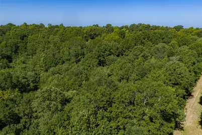 00 Tom Eubanks Rd, Gladewater, TX 75662 - Photo 23