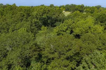 00 Tom Eubanks Rd, Gladewater, TX 75662 - Photo 9
