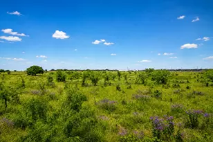 1804 Mensa Dr, Haslet, TX 76052 - Photo 29