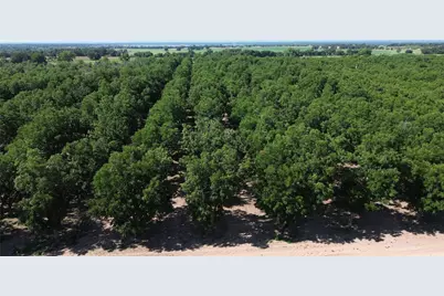 0000 Fm 1496, Dublin, TX 76446 - Photo 1