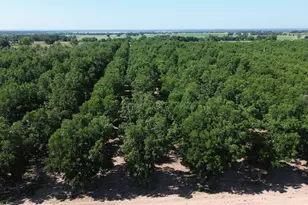 0000 Fm 1496, Dublin, TX 76446 - Photo 1