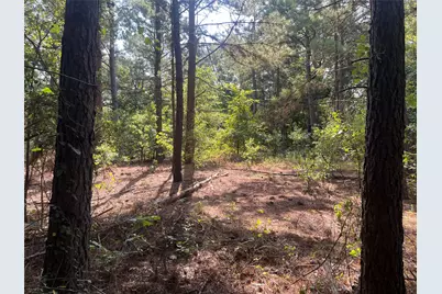 Tbd County Road 3303, Jacksonville, TX 75766 - Photo 7