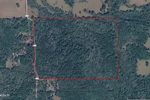 Tbd County Road 3303, Jacksonville, TX 75766 - Photo 1