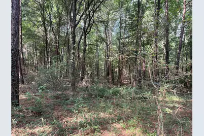 Tbd County Road 3303, Jacksonville, TX 75766 - Photo 17