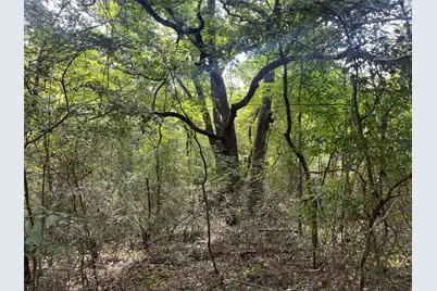 Tbd County Road 3303, Jacksonville, TX 75766 - Photo 35