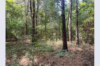 Tbd County Road 3303, Jacksonville, TX 75766 - Photo 33