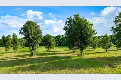 Tbd County Road 14900 Road, Paris, TX 75462 - Photo 17