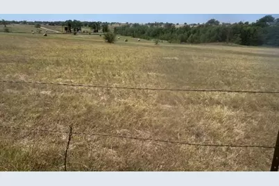 195 Whitworth Road, Whitewright, TX 75491 - Photo 39