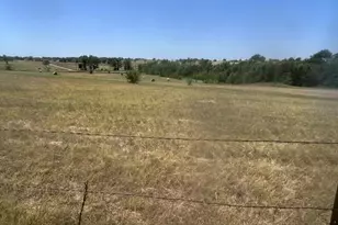 195 Whitworth Rd, Whitewright, TX 75491 - Photo 39