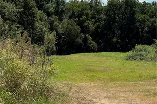 8345 County Rd 205, Grandview, TX 76050 - Photo 31