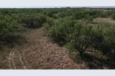Tbd Turtle Hole Road, Graham, TX 76450 - Photo 11