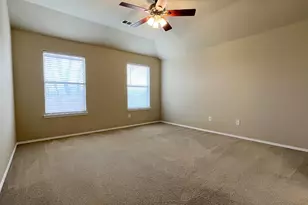 233 Niagara Falls Dr, Anna, TX 75409 - Photo 19