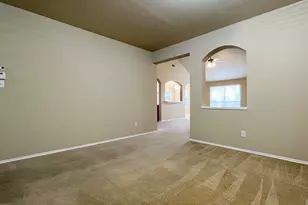 233 Niagara Falls Dr, Anna, TX 75409 - Photo 11