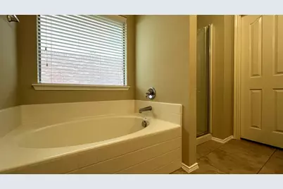 233 Niagara Falls Drive, Anna, TX 75409 - Photo 21