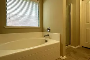 233 Niagara Falls Dr, Anna, TX 75409 - Photo 21