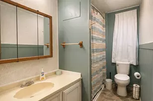 163 Private Road 1307, Bridgeport, TX 76426 - Photo 17
