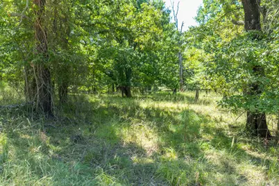 Tbd 3401, Emory, TX 75440 - Photo 5
