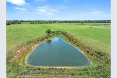 Lot 11 Fm 1255, Grand Saline, TX 75140 - Photo 15