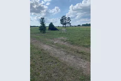 10658 County Road 350, Terrell, TX 75160 - Photo 11