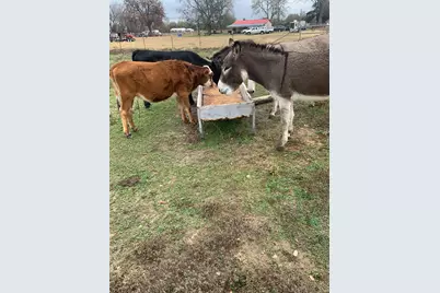 10658 County Road 350, Terrell, TX 75160 - Photo 5