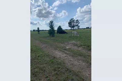 10658 County Road 350, Terrell, TX 75160 - Photo 3