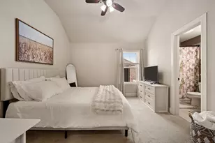 15169 Wild Duck Way, Fort Worth, TX 76262 - Photo 25