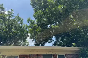 3703 Pecan Park Dr, Weatherford, TX 76087 - Photo 33