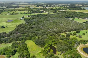 7420 SW County Road 2030, Purdon, TX 76679 - Photo 3