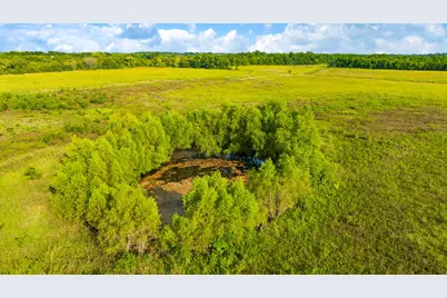 0000 County Road 25200, Roxton, TX 75435 - Photo 5