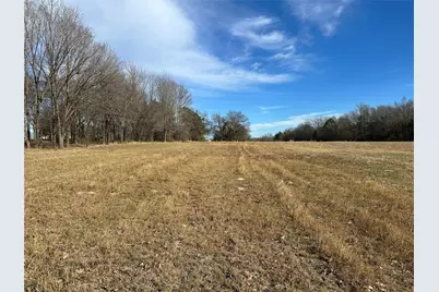 0000 Fm-2948 Road, Como, TX 75431 - Photo 11