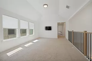 809 Isabel St, Celina, TX 75009 - Photo 19