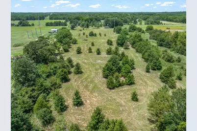 000 County Road 3520, Brownsboro, TX 75756 - Photo 5