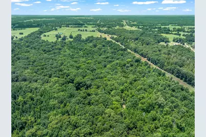 000 County Road 3520, Brownsboro, TX 75756 - Photo 7